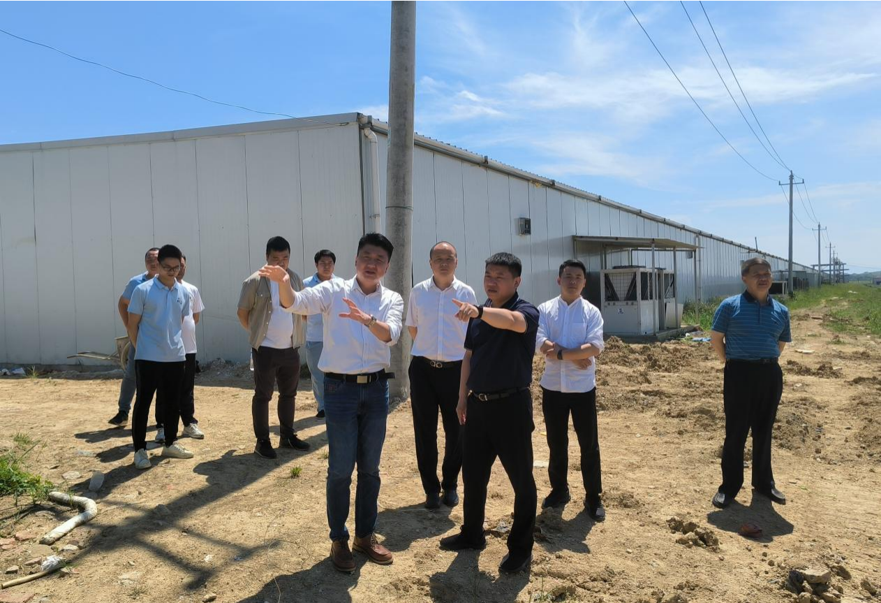 市國控集團黨委書記、董事長張志堅帶隊深入調(diào)研鄉(xiāng)村振興項目